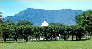 Da Love-Ananda Mahal Sanctuary, with Mt. Waialeale in the background