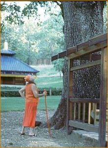 Adi Da blessing the "Tree of Life" at Skyway Temple, 1998 