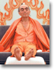 The annual cycle of Adidam celebrations