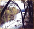 The Adidam New York Summer 2012 Contemplative Retreat:  Reality, Truth, and Happiness