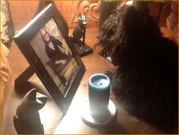 The dog in My House can do it. So can you.