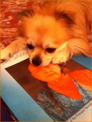 The dog in My House can do it. So can you.