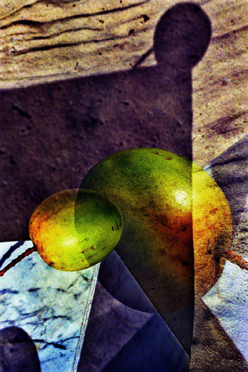 Images 2004 #8506, 2004