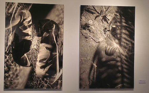 The Exhibition at Galerie Pien Rademakers