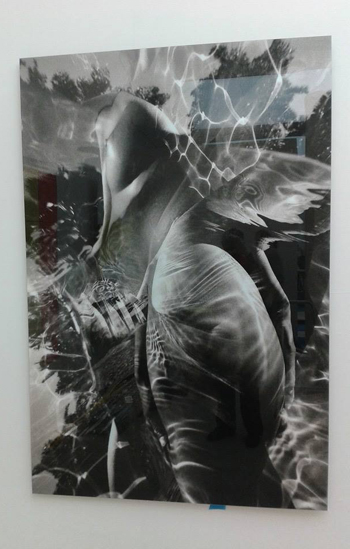 Exhibition at the 2013 STRARTA Art Fair