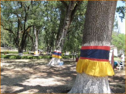 All True Things Park