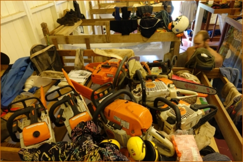 Some of the chainsaws that did the job.