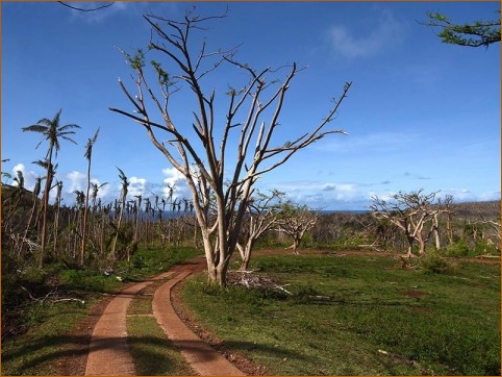 Almost all of the roads have been cleared.