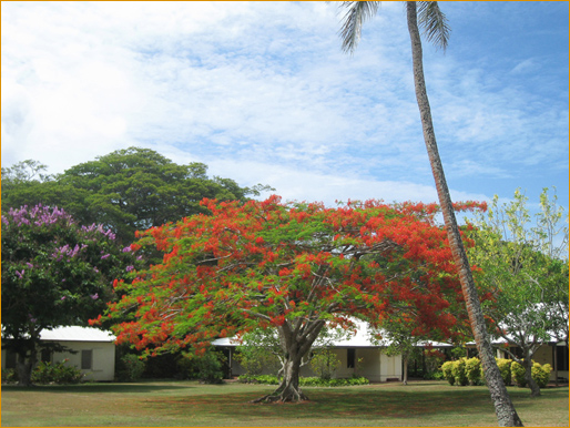 Extraordinary Eyes, before the cyclone