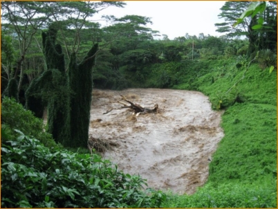 the Sacred Wailua River during the biggest rains ever recorded (11/14/09)