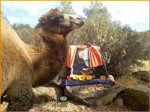 Peaceful Baba (who has always shown a spiritual sensitivity to Adi Da) 