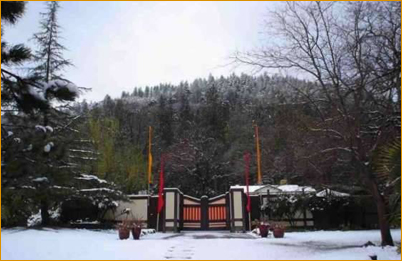 All Eyes Gate, January, 2016