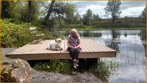 A baby camel at the Lake of Radical Understanding