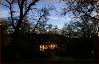 Huge Helper in the early morning light: December, 2011