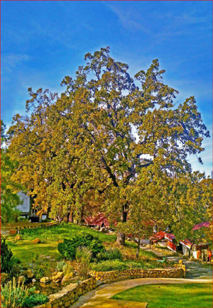 Land Bridge Pavilion