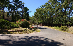 Seigler Springs Road, the Mountain Of Attention