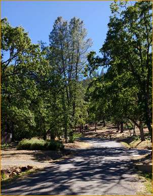 Seigler Springs Road, the Mountain Of Attention