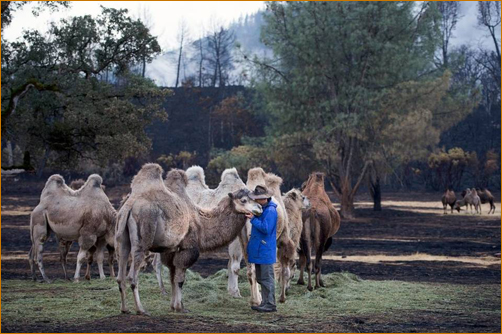 The Valley Fire at The Mountain Of Attention