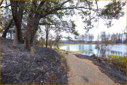 The Valley Fire at The Mountain Of Attention