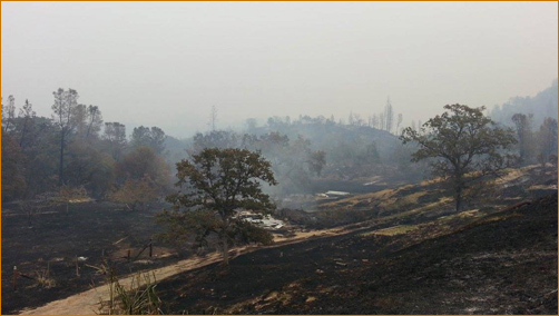 The Valley Fire at The Mountain Of Attention