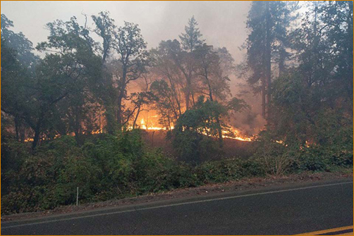 The Valley Fire at The Mountain Of Attention