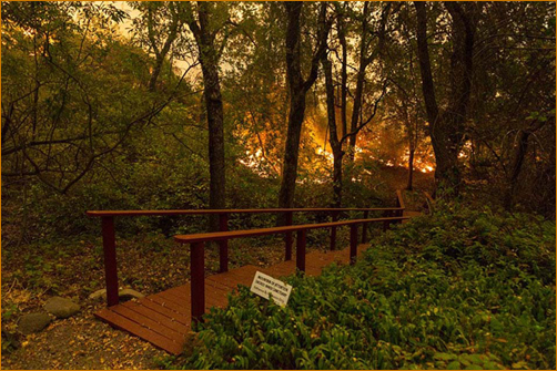 The Valley Fire at The Mountain Of Attention
