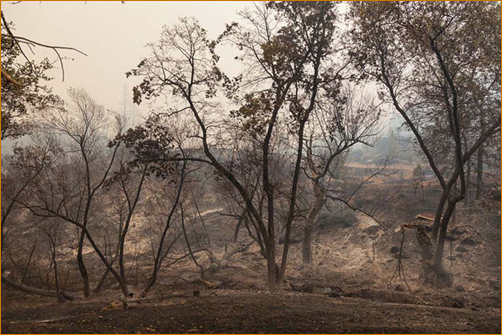 The Valley Fire at The Mountain Of Attention