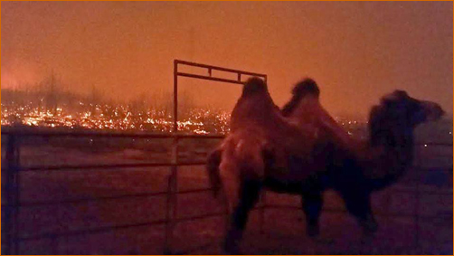 The Valley Fire at The Mountain Of Attention