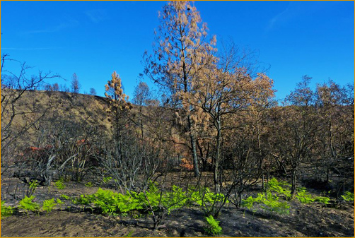 The Valley Fire at The Mountain Of Attention
