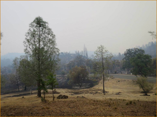 The Valley Fire at The Mountain Of Attention