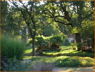 the Well surrounded by greenery