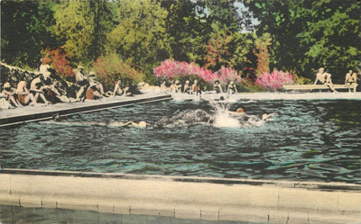 Seigler Hot Springs Swimming Pool 