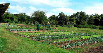 Naitauba garden