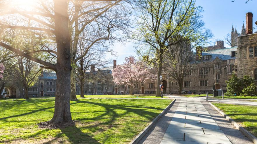 Princeton University