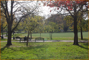 park across from Mary Immaculate Hospital where Adi Da's father paced while awaiting His birth