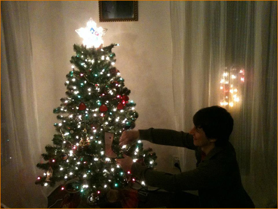 Devotees decorating a tree in their home in Los Angeles, November, 2012
