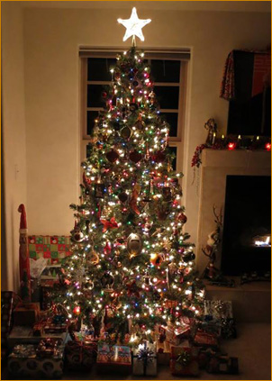A devotee tree in Cobb, California, December, 2013.