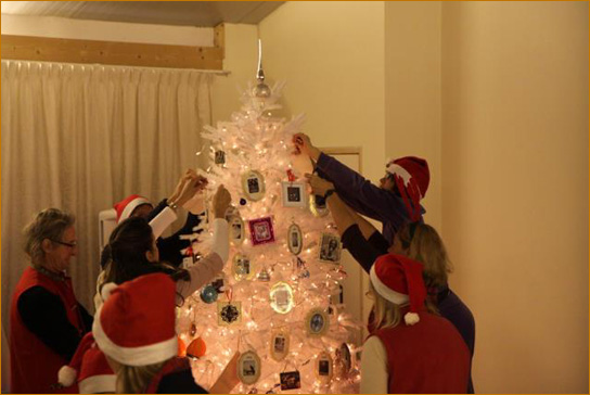 <SPAN STYLE="font-size=9px;font-weight=bold;">Tree trimming at the European Danda, Maria Hoop, The  Netherlands, 2012