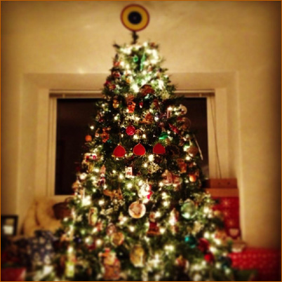 Memphis's tree  in Sebastopol, California, December, 2012