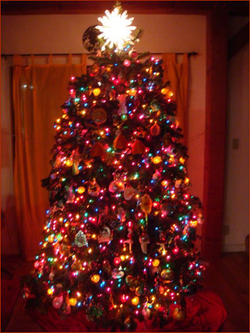 A devotee tree in Middletown, California, December, 2015