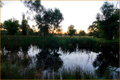 Vine and Branches Personal Growth Centre