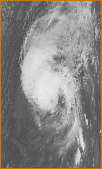 Hurricane Iwa