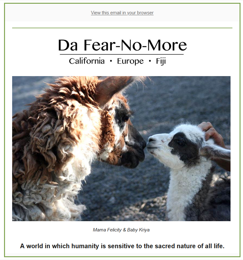 Fear-No-More Zoo Newsletter